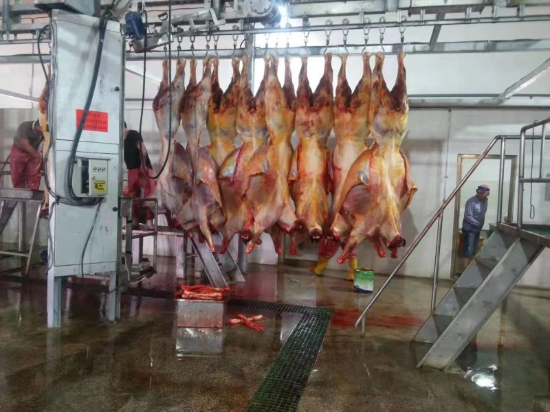 自产自销蒙古国马肉，精品马肉