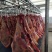 自产自销蒙古国马肉，精品马肉