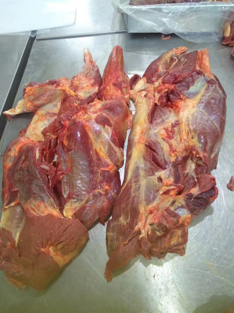 外蒙马肉，活马吊宰，自有加工厂。