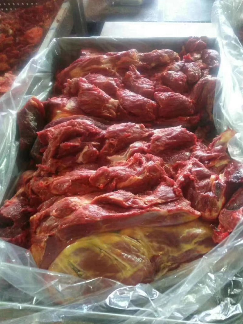 外蒙马肉，活马吊宰，自有加工厂。