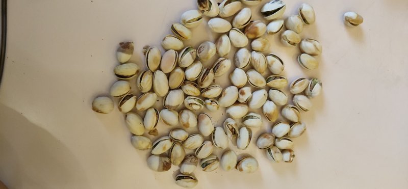 开心果自然开不漂白。，原始原味，大颗粒。