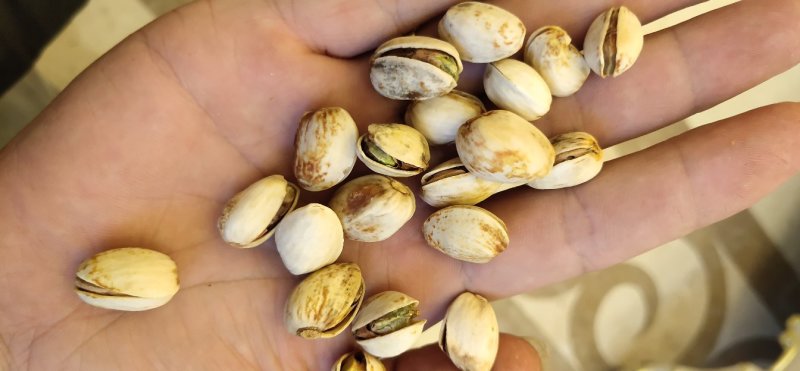 开心果自然开不漂白。，原始原味，大颗粒。