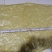 农副食品