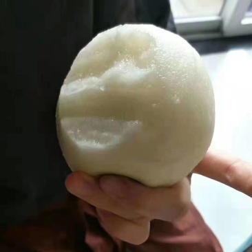 湖北省宜城市翠冠梨--又大又脆又甜汁多