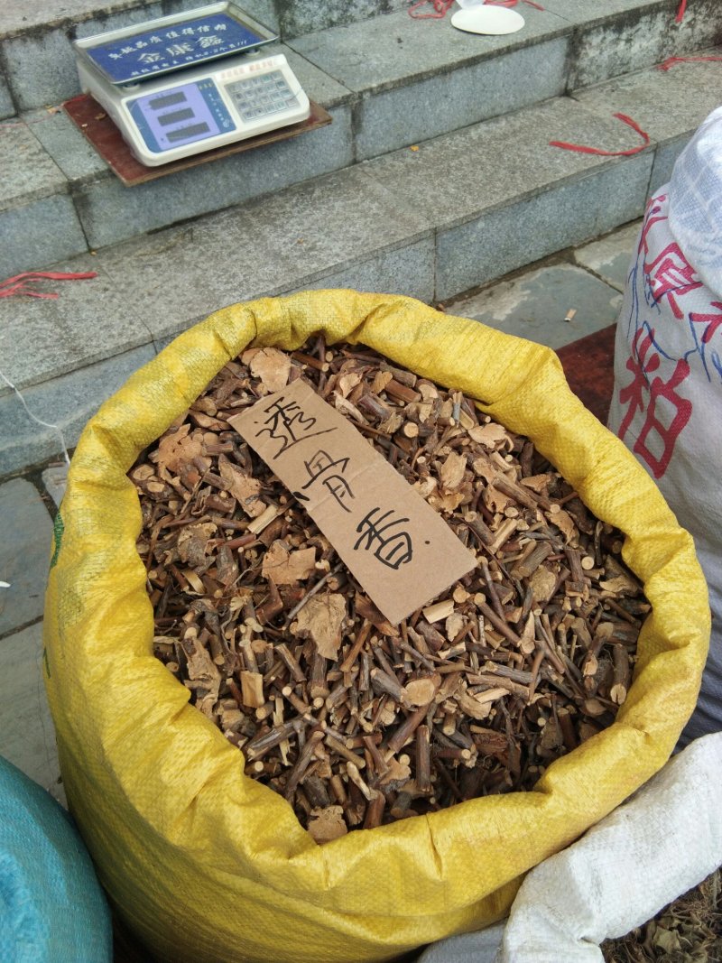 透骨香根全野生，透骨香透骨草新货供应，段子片子都有现货