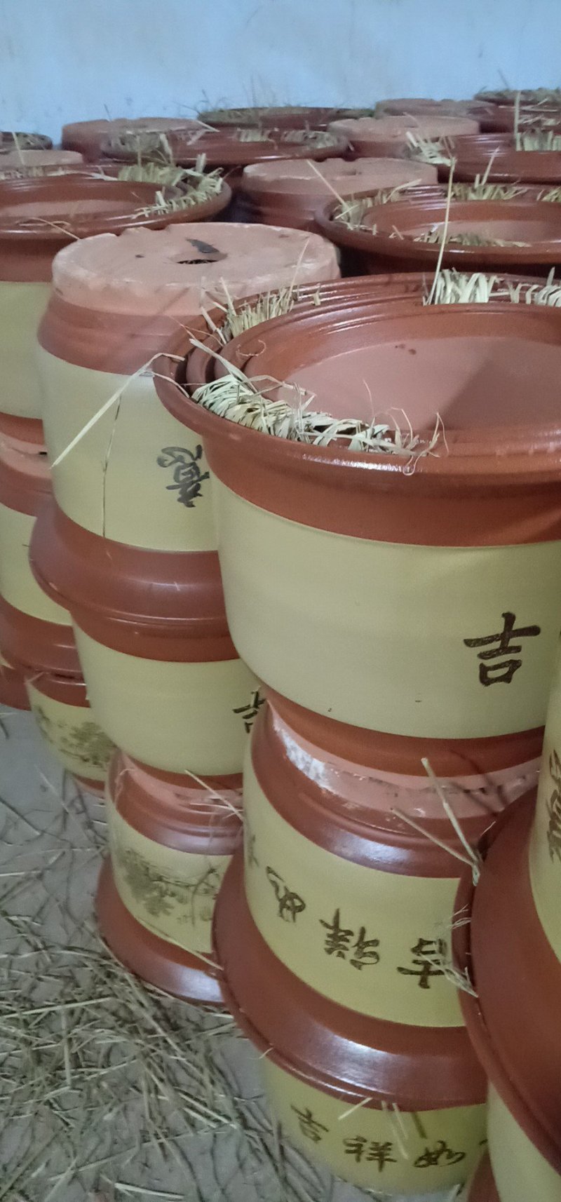 花盆批发