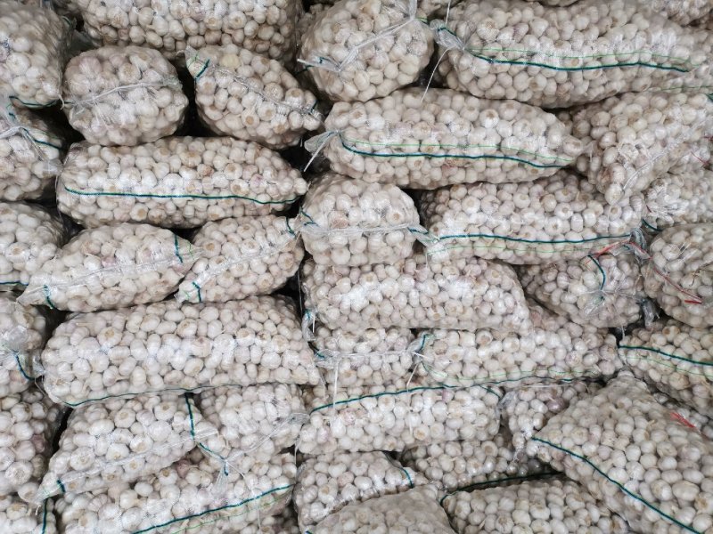 邳州大蒜！精品净蒜！代储代存代卖！实力配资！货源充足！