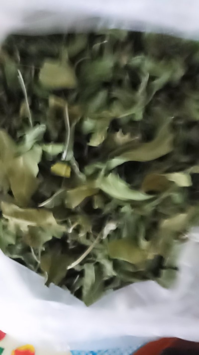 中药全草类