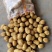 【好货】土豆山东荷兰十五土豆常年供应品质保证