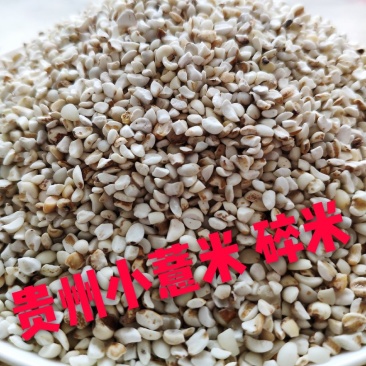 批发供应贵州兴仁薏仁米小薏米碎米厂家直销欢迎洽谈采购