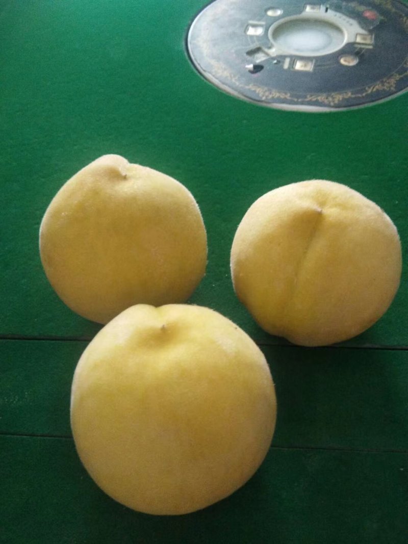 黄金冠脆甜丝酸