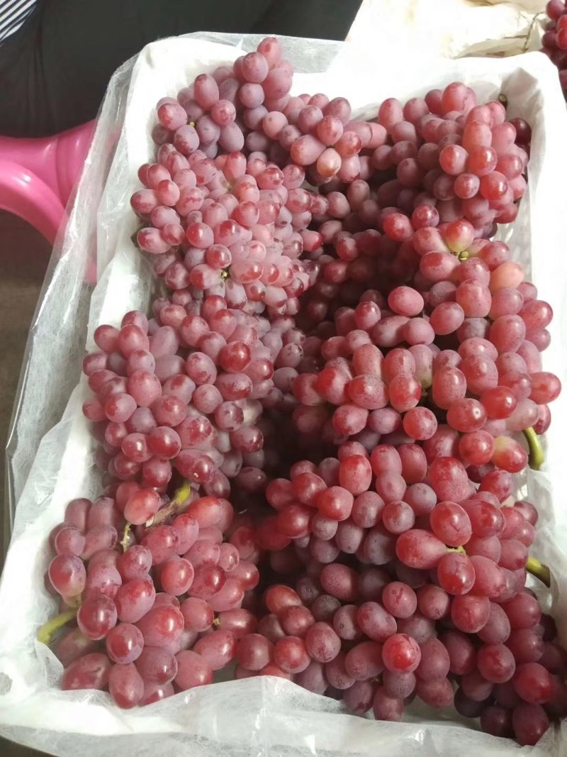 克伦森