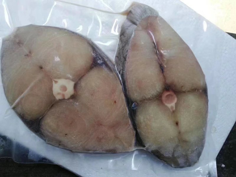 马胶鱼