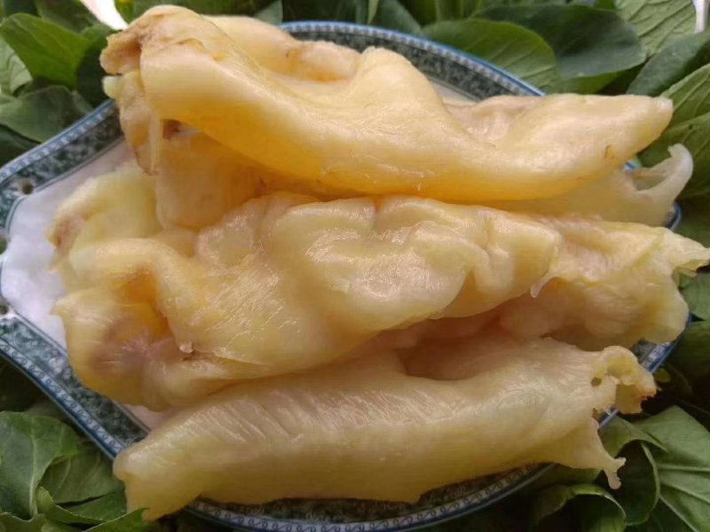 130头黄花胶筒