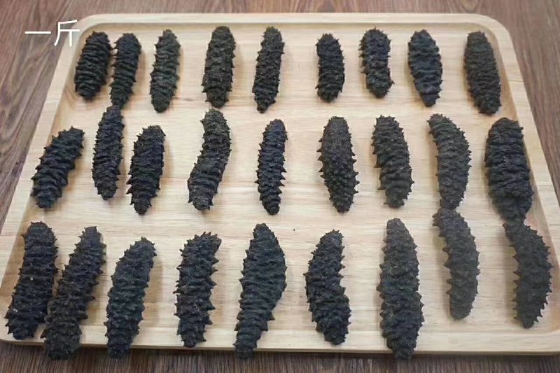 特级螺纹刺参
