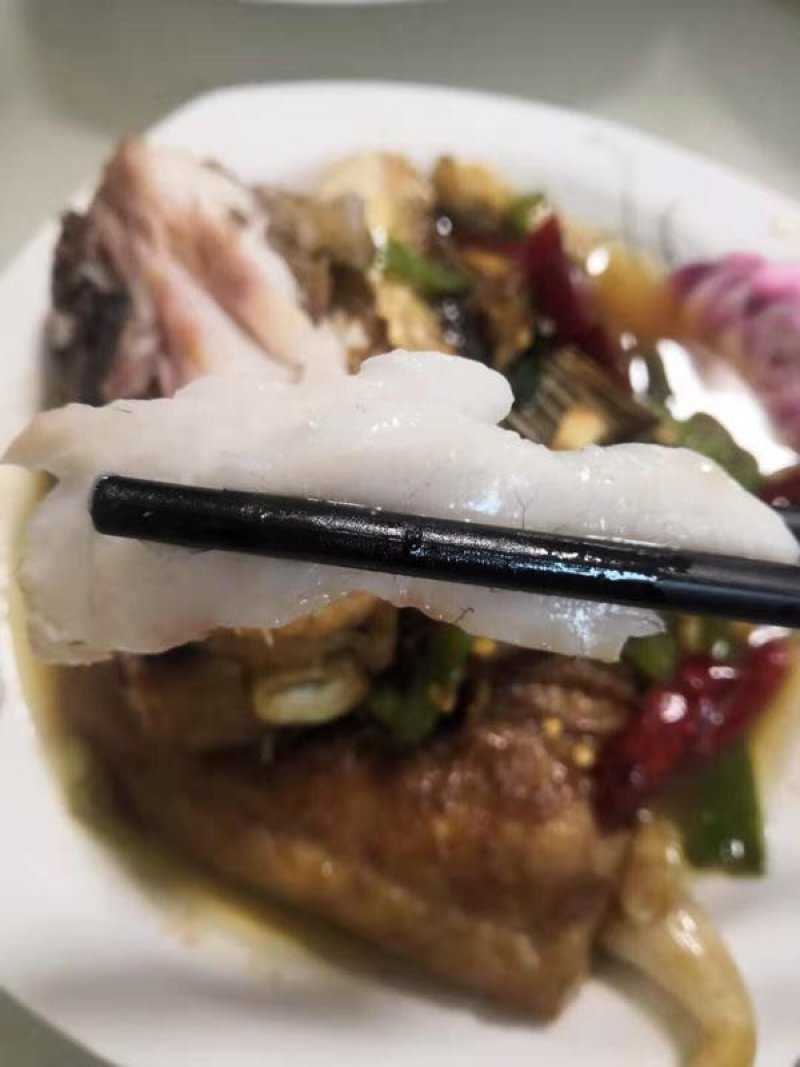 丹江野生翘嘴泊