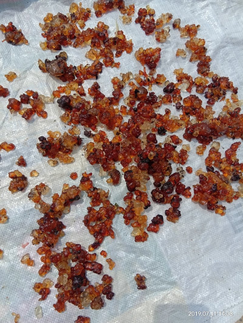 桃胶