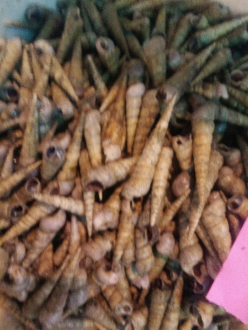 丁螺