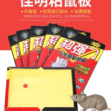粘鼠板
