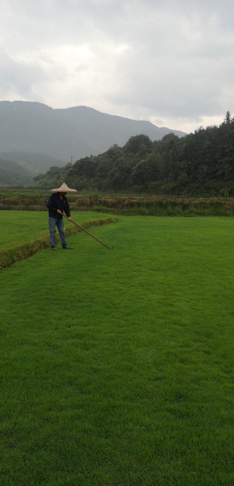 马尼拉