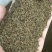 蒲公英籽