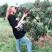 无核荔枝苗广西灵山正宗嫁接苗妃子笑苗