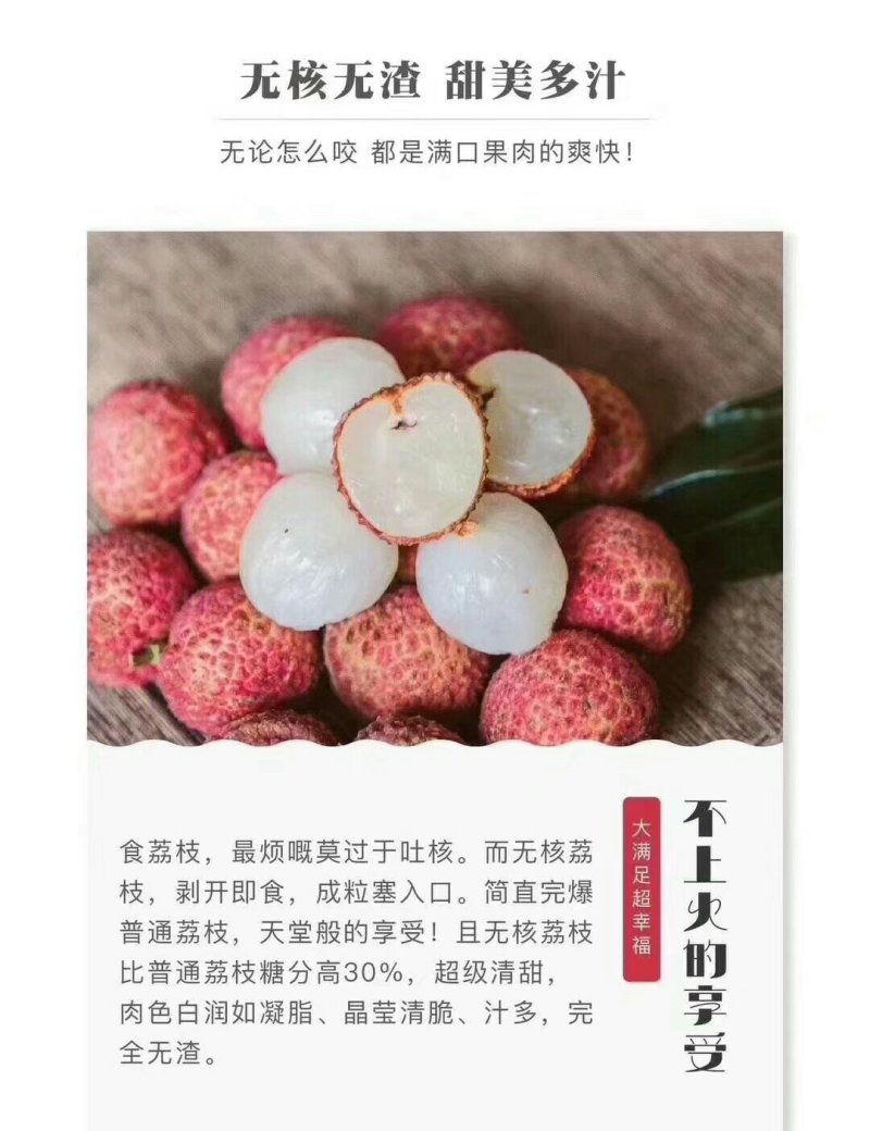 无核荔枝苗广西灵山正宗嫁接苗妃子笑苗