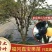 嘉宝果苗福冈嘉宝果树苗