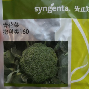 先正达撒利奥160，青花菜西兰花种子