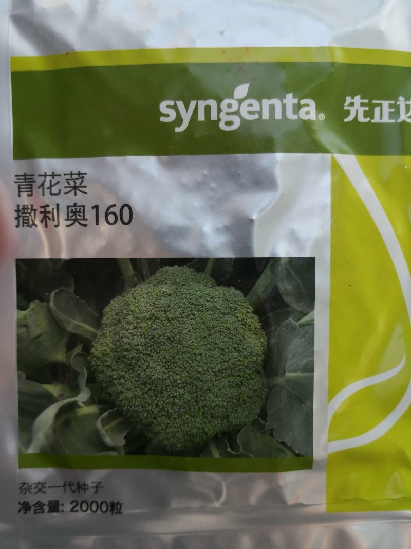 先正达撒利奥160，青花菜西兰花种子