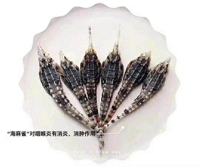 海麻雀汤包