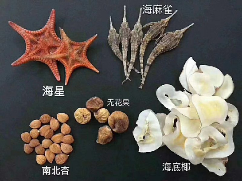 海麻雀汤包