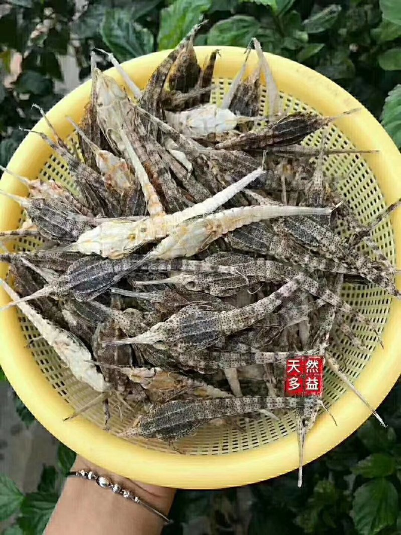 海麻雀汤包
