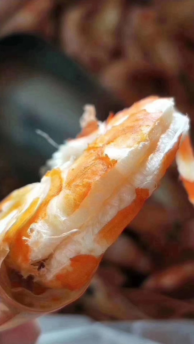 大软虾干