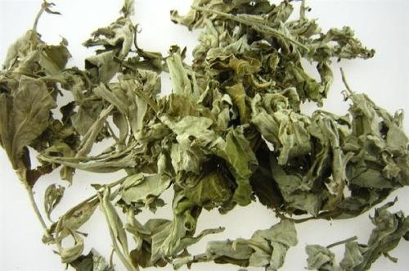 艾叶纯青好货冷背药材批发大货供应量多从优