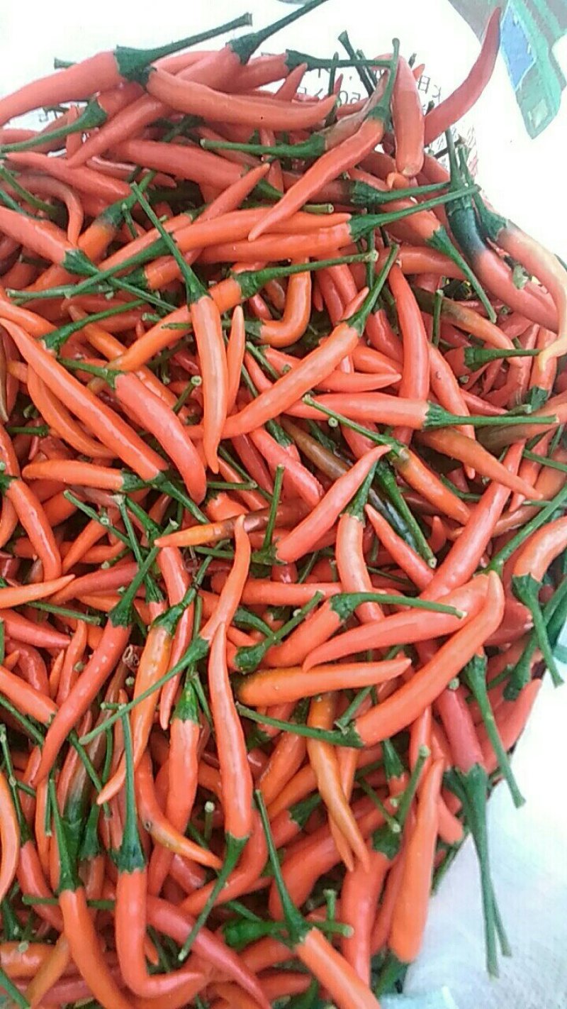 辣椒
