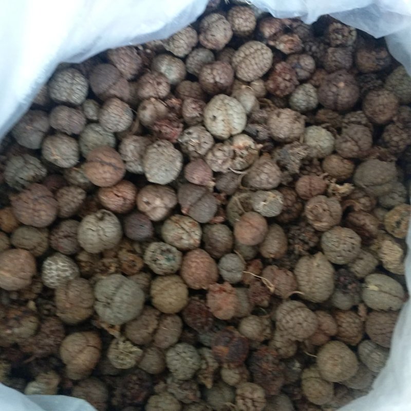 振兴药材批发大草寇规格齐全产地直供一手货源全国发货