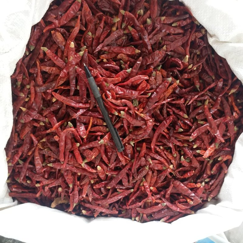 振兴药材批发供应辣椒规格齐全产地直供一手货源全国发货
