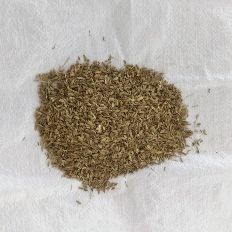 炒小茴香振兴药材批发供应小茴香产地直供价