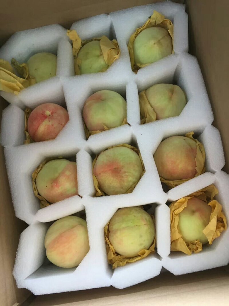 奉化水蜜桃