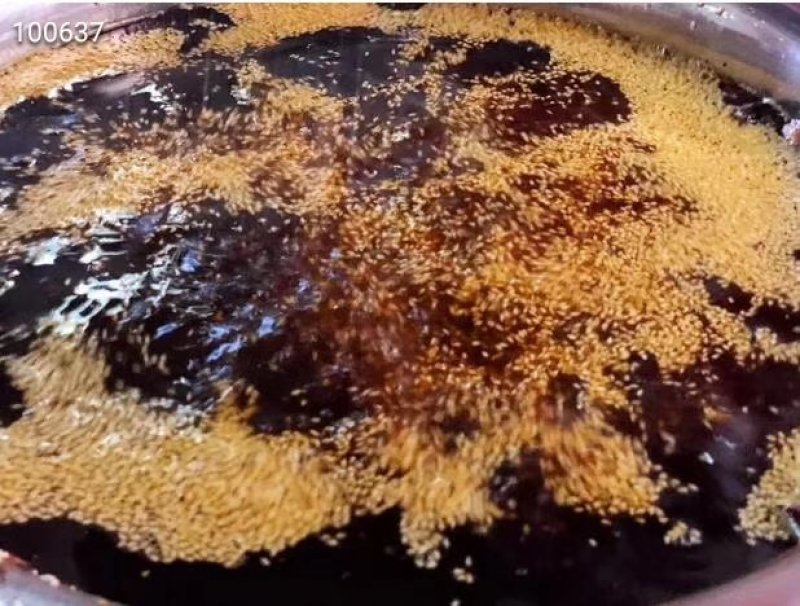 禄劝油鸡枞