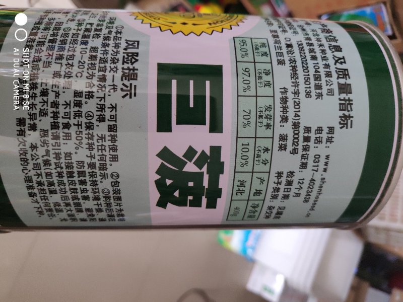 菠菜种子至尊荷兰巨菠菠菜种子