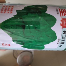菠菜种子至尊荷兰巨菠菠菜种子