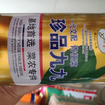 白菜种子珍品九九青梗菜种子