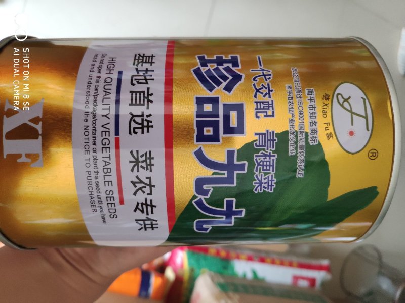 白菜种子珍品九九青梗菜种子