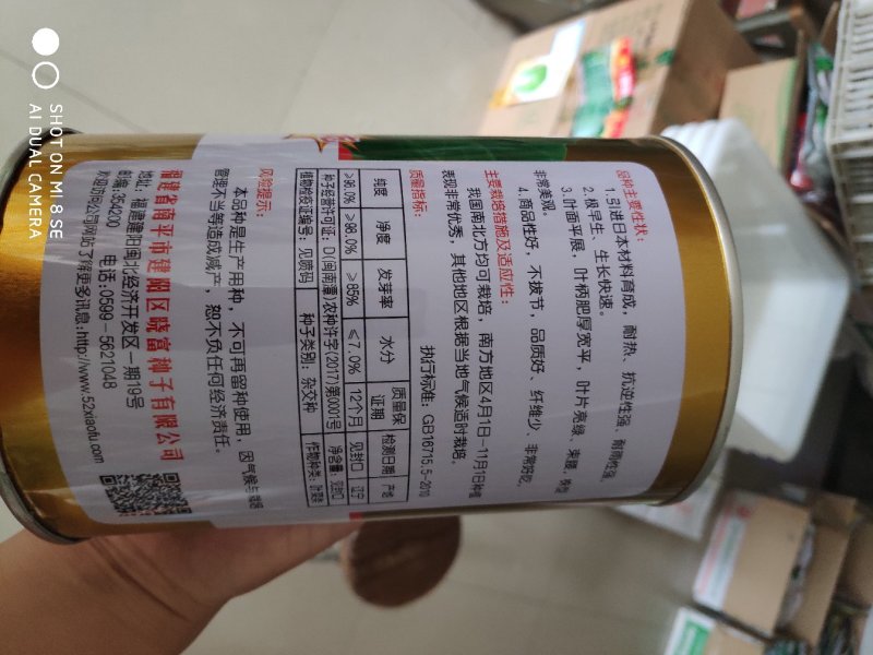 白菜种子珍品九九青梗菜种子