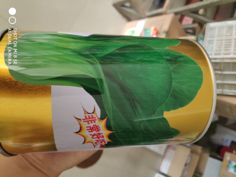 白菜种子珍品九九青梗菜种子