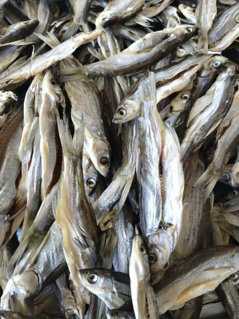 盐刁子小餐鱼干白条鱼刁子鱼咸鱼干干货大量供应