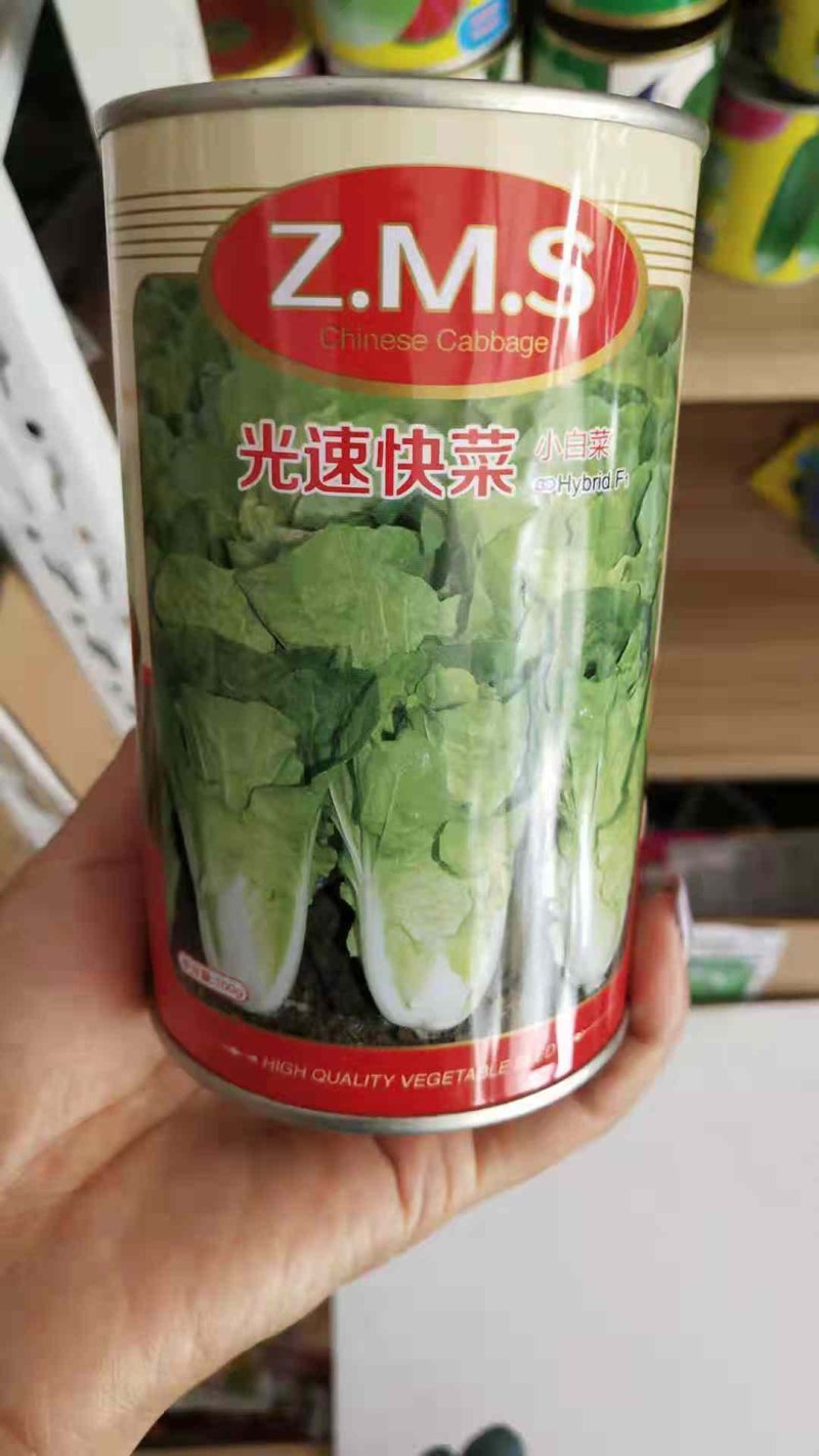 快菜种子四季快菜种子28天收获菜种子