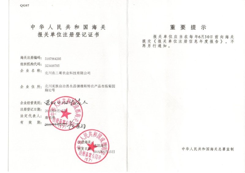洋荷全国首家出口阳荷